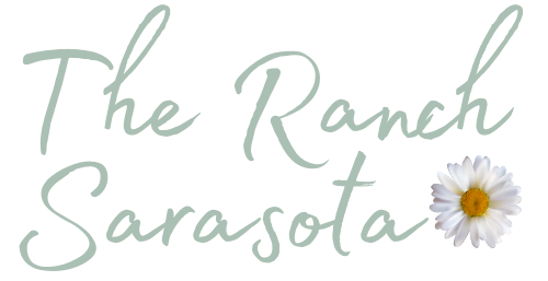 Welcome to Our Renovation Adventure